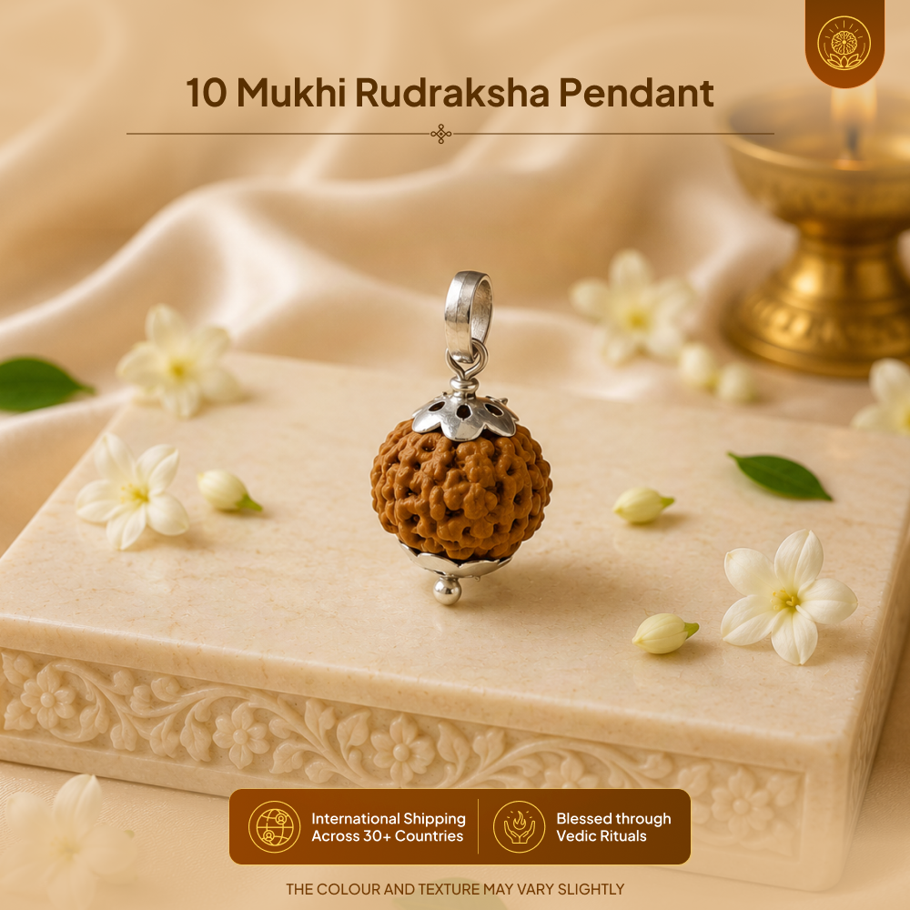 10 Mukhi Rudraksha Pendant- Nepali