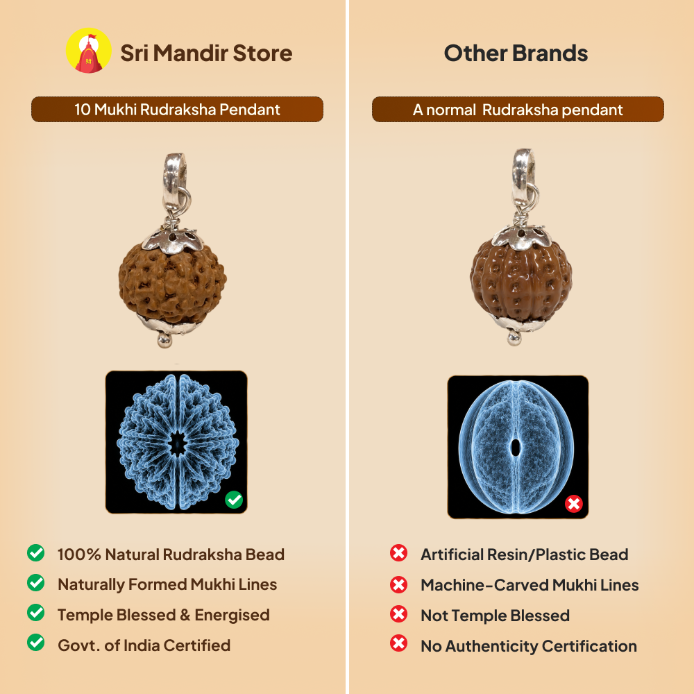 10 Mukhi Rudraksha Pendant- Nepali
