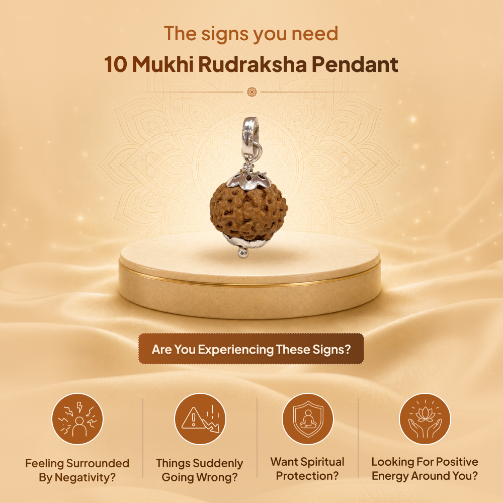 10 Mukhi Rudraksha Pendant- Nepali