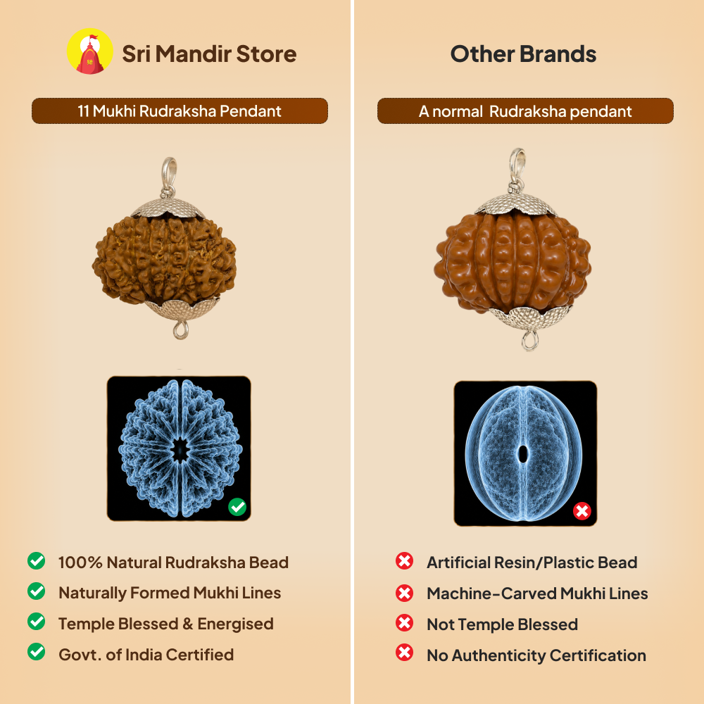 11 Mukhi Rudraksha Pendant- Nepali