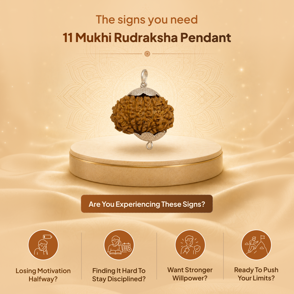 11 Mukhi Rudraksha Pendant- Nepali