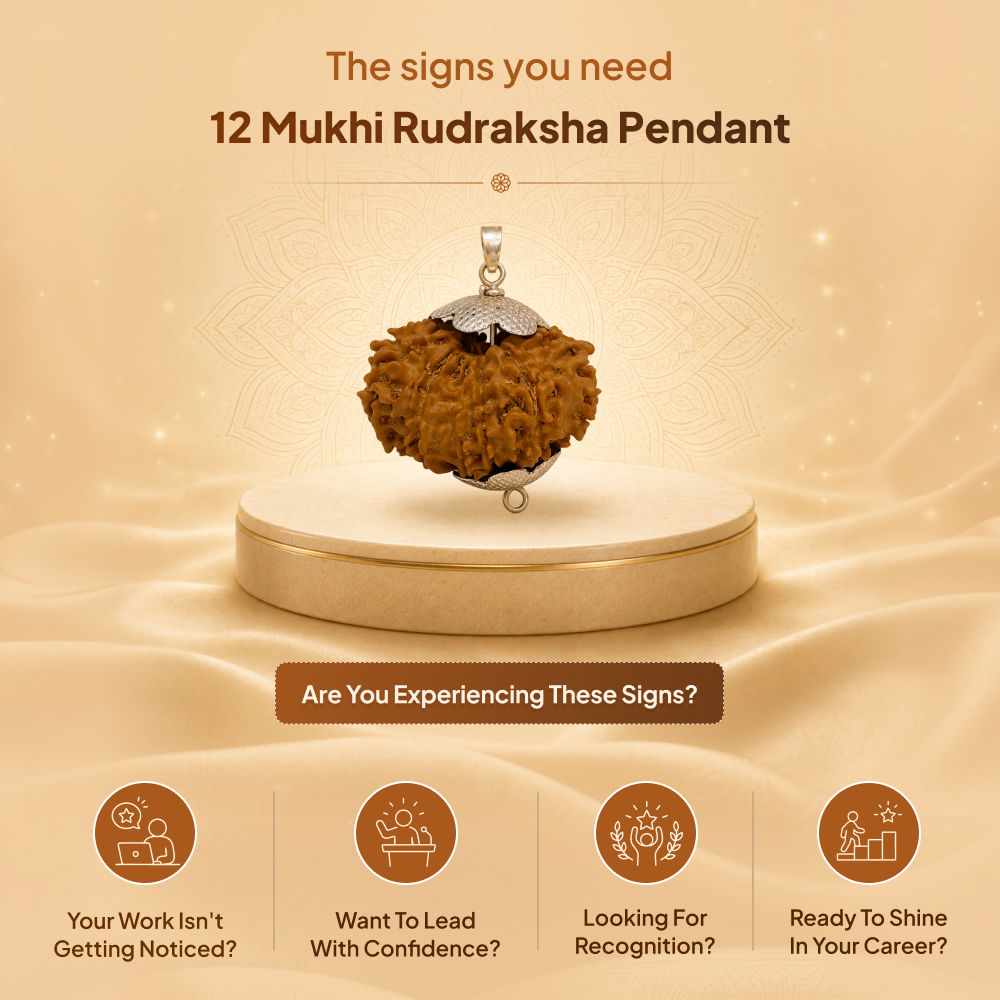 12 Mukhi Rudraksha Pendant- Nepali