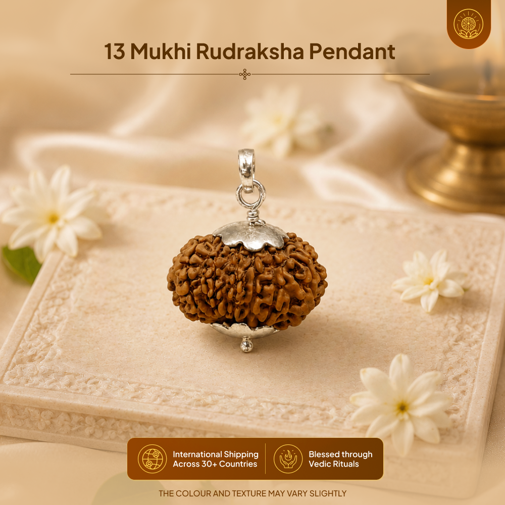 13 Mukhi Rudraksha Pendant - Nepali