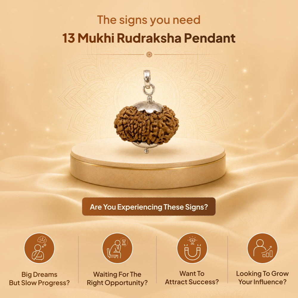 13 Mukhi Rudraksha Pendant - Nepali