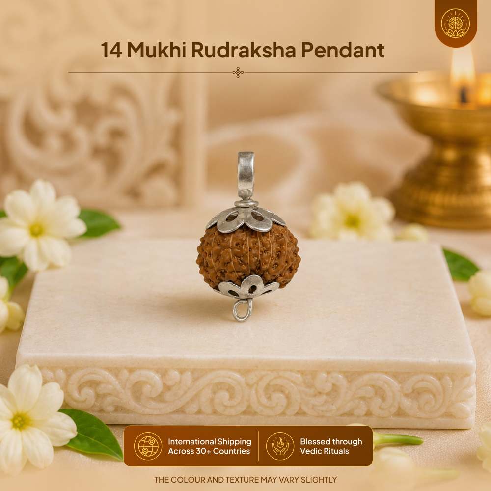 14 Mukhi Rudraksha Pendant - Indian