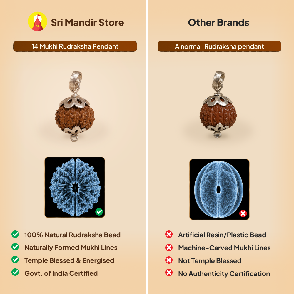 14 Mukhi Rudraksha Pendant - Indian
