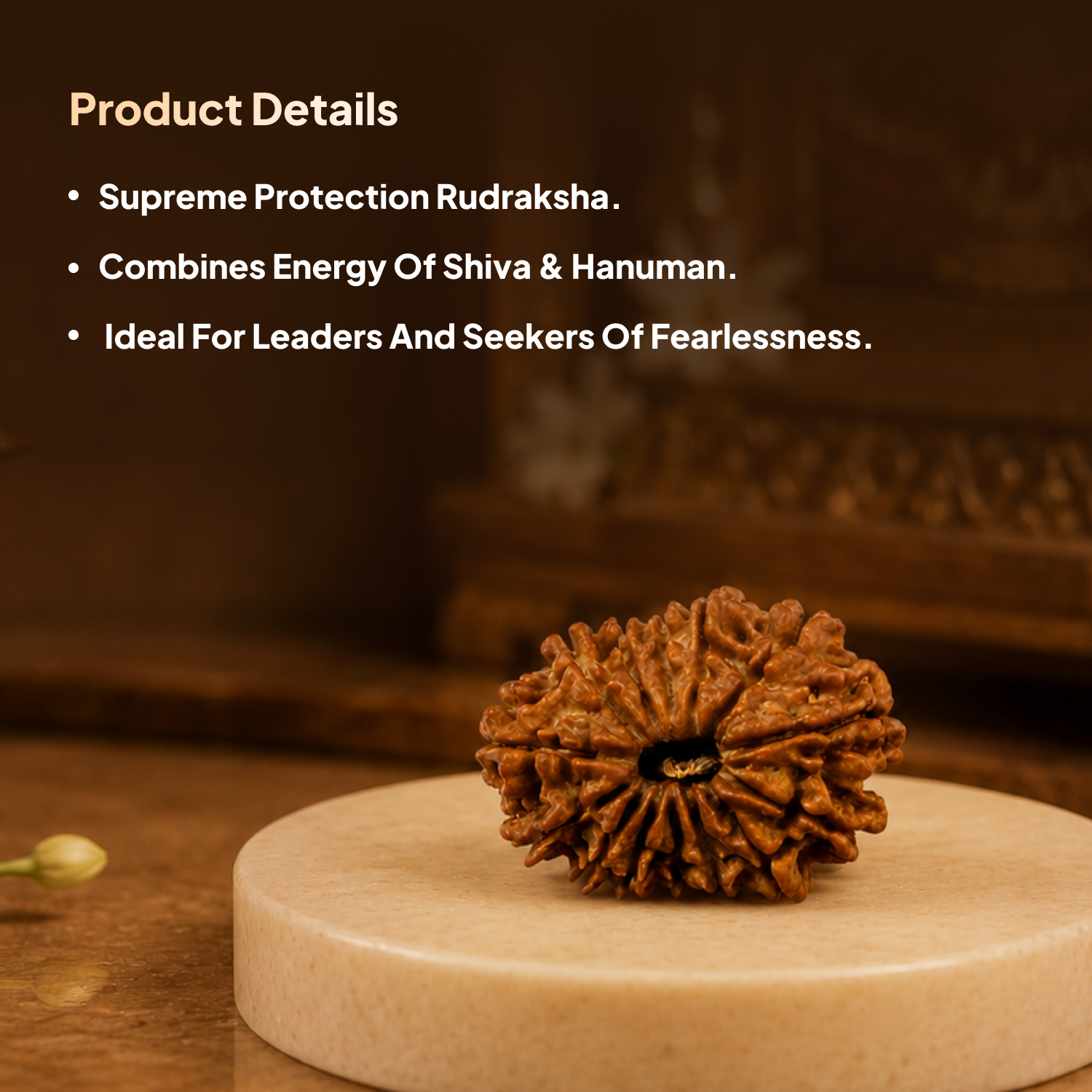 14 Mukhi Rudraksha Bead - Nepali
