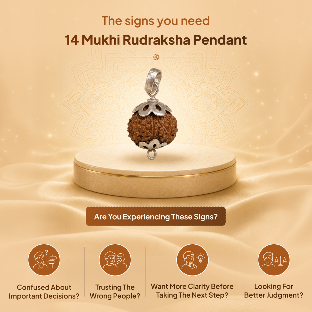 14 Mukhi Rudraksha Pendant - Indian