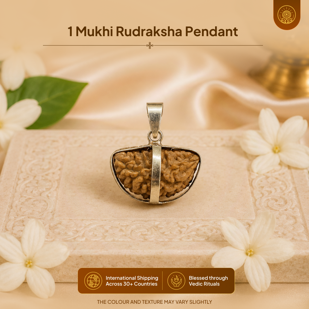 1 Mukhi Rudraksha Pendant- Indian