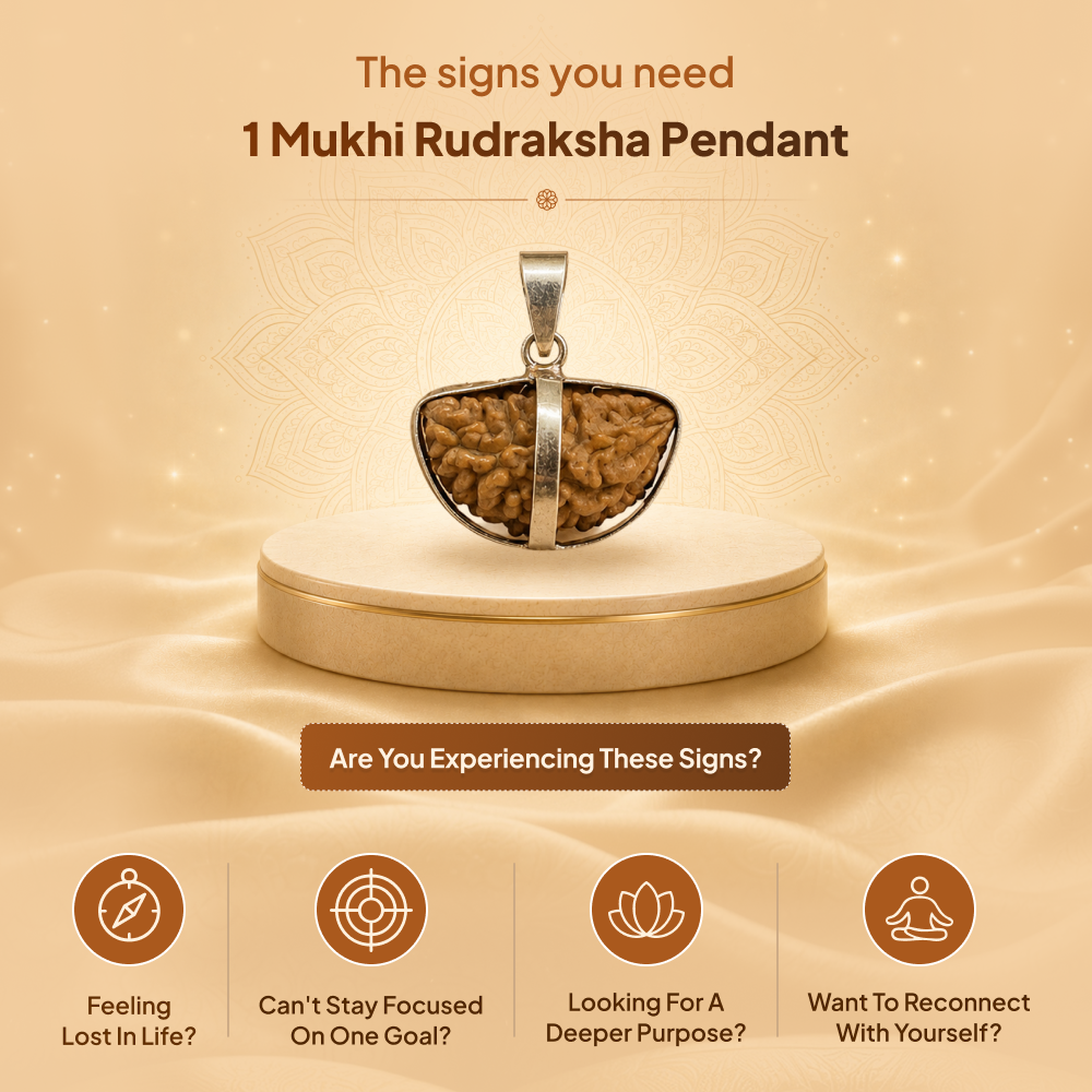 1 Mukhi Rudraksha Pendant- Indian
