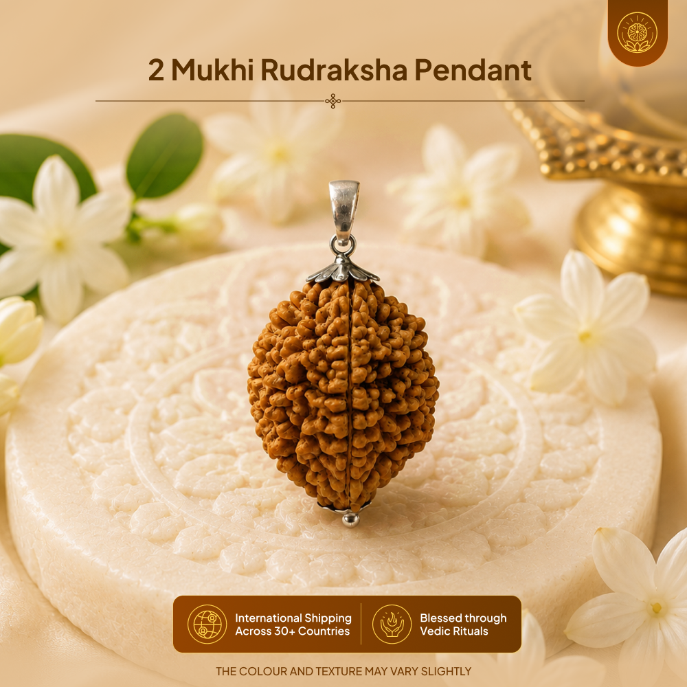 2 Mukhi Rudraksha Pendant- Indian