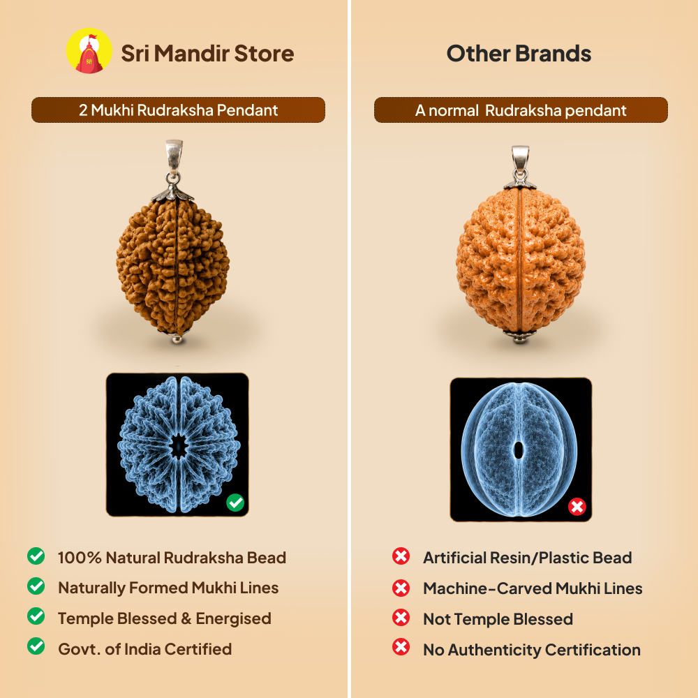 2 Mukhi Rudraksha Pendant- Indian