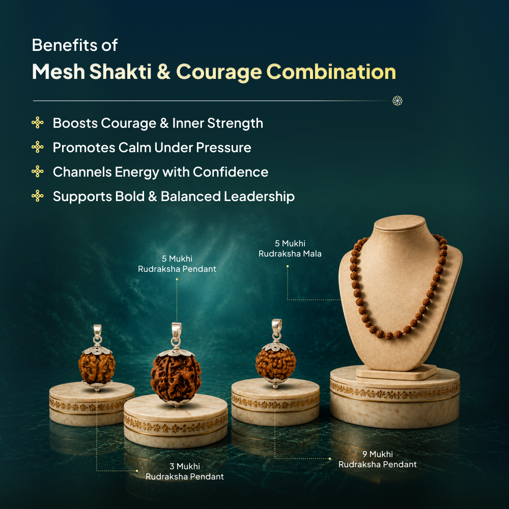 Mesh (Aries) Shakti & Courage Combination