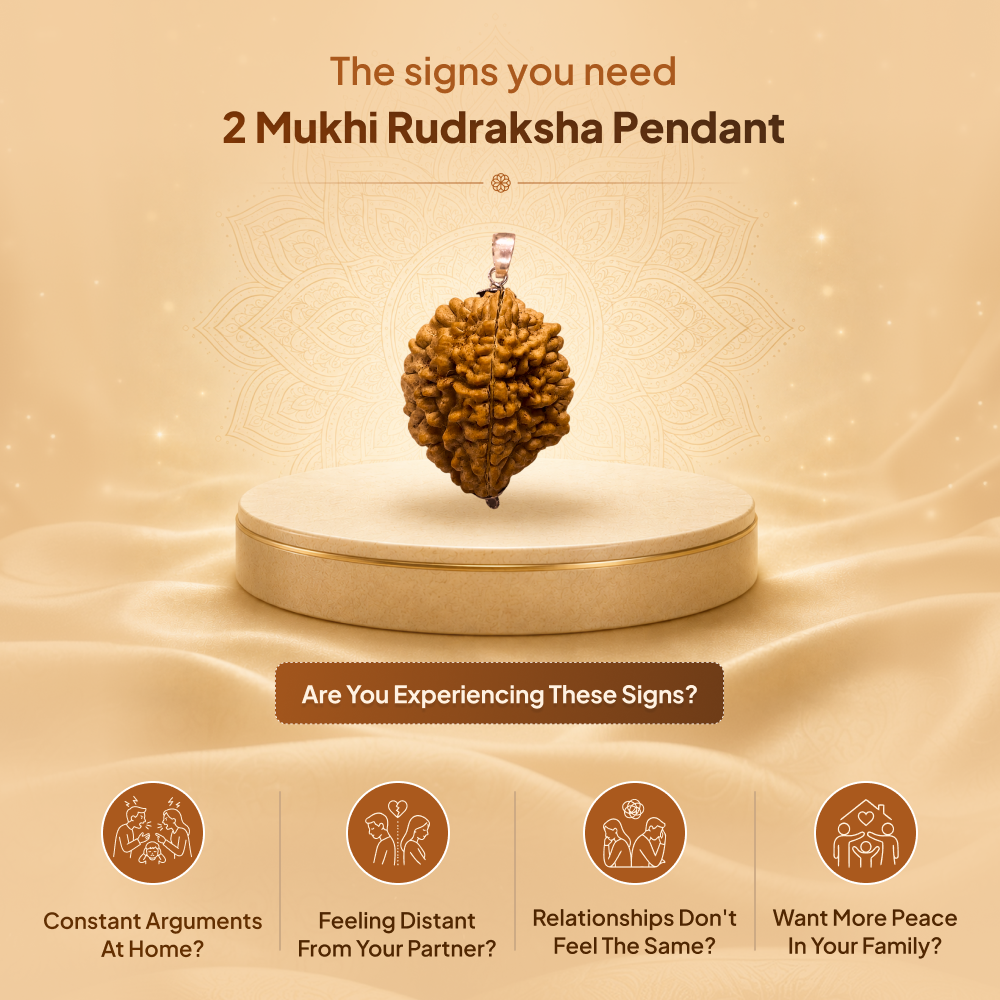 2 Mukhi Rudraksha Pendant- Indian