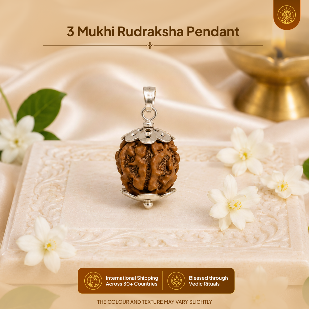 3 Mukhi Rudraksha Pendant- Nepali