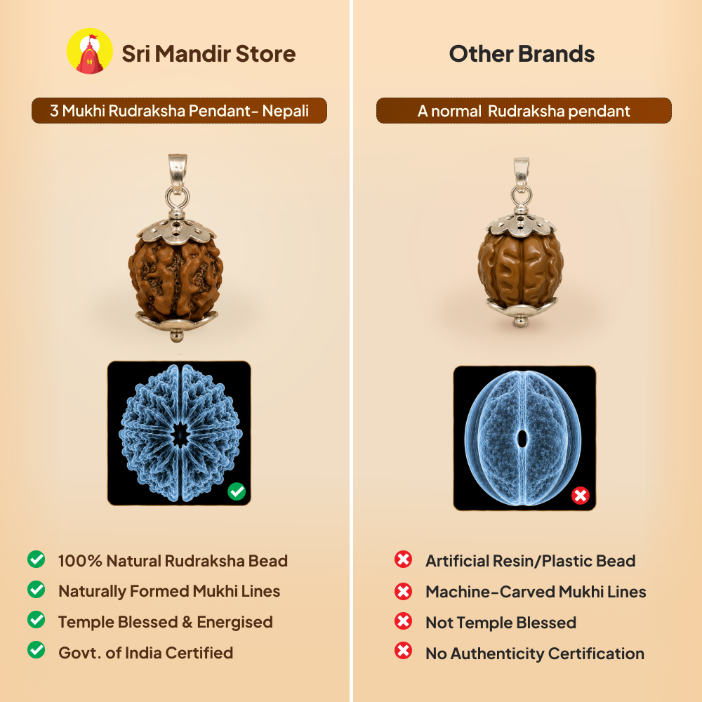 3 Mukhi Rudraksha Pendant- Nepali
