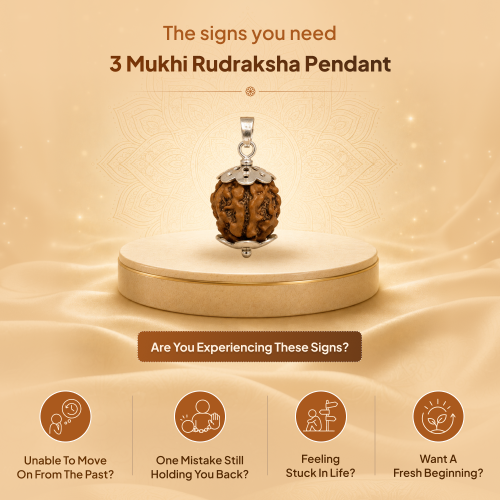 3 Mukhi Rudraksha Pendant- Nepali