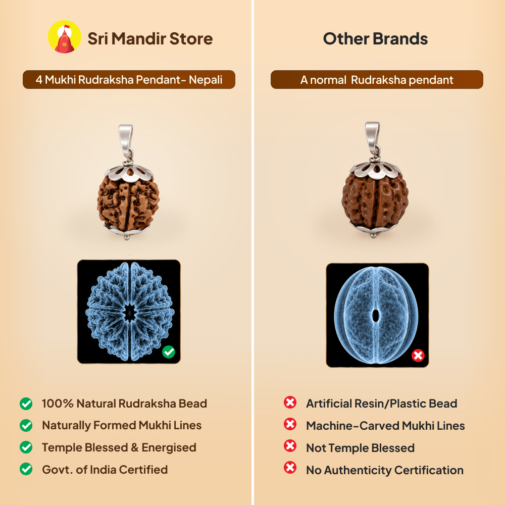 4 Mukhi Rudraksha Pendant- Nepali