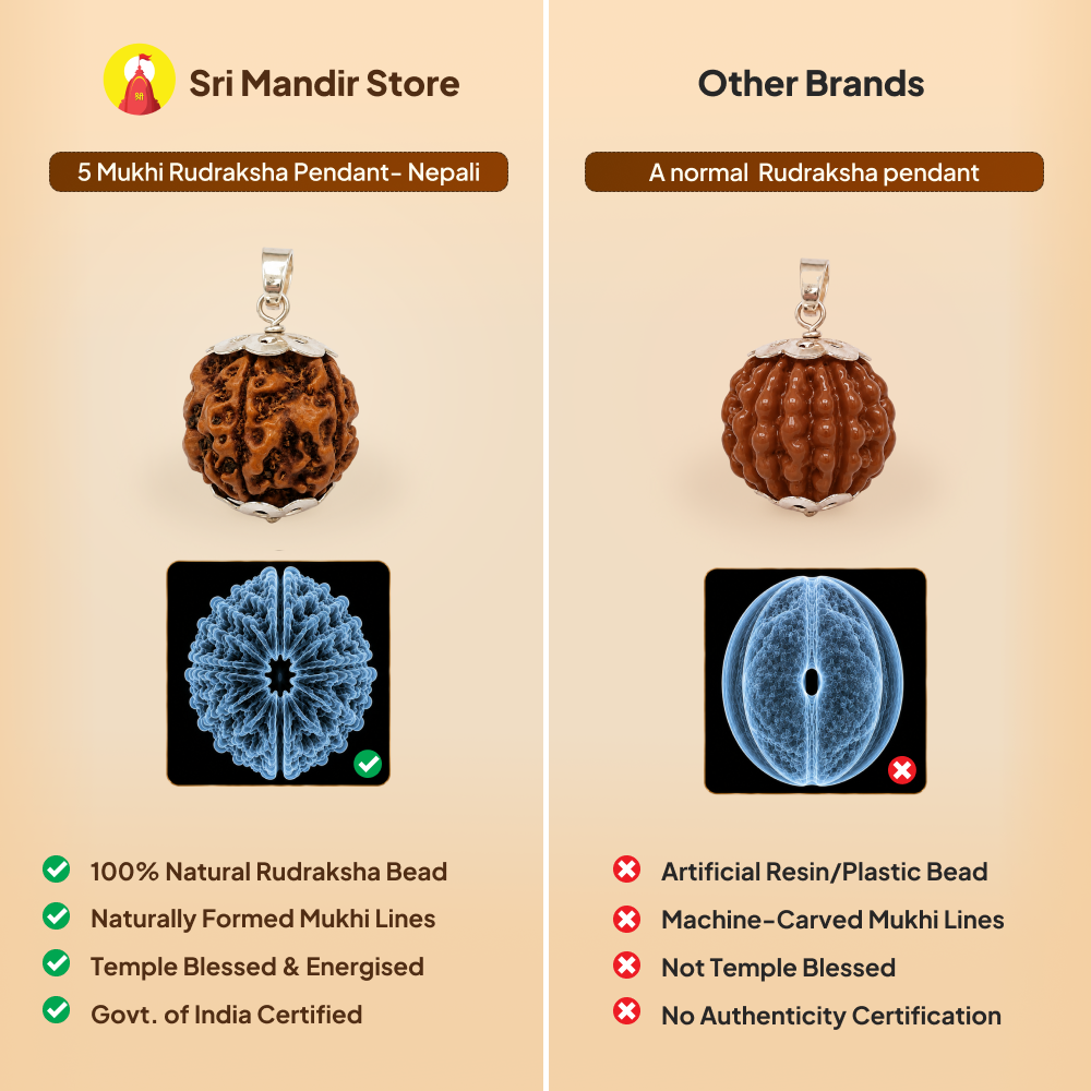 5 Mukhi Rudraksha Pendant- Nepali