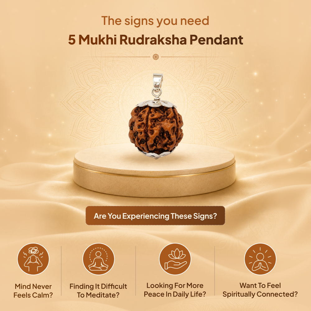 5 Mukhi Rudraksha Pendant- Nepali