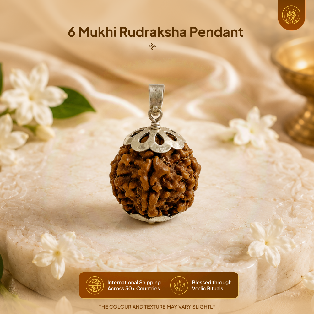 6 Mukhi Rudraksha Pendant- Nepali