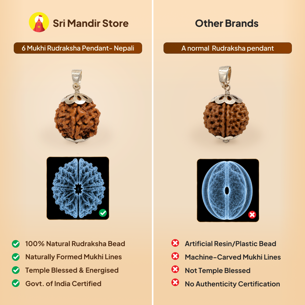 6 Mukhi Rudraksha Pendant- Nepali