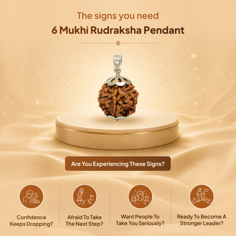 6 Mukhi Rudraksha Pendant- Nepali