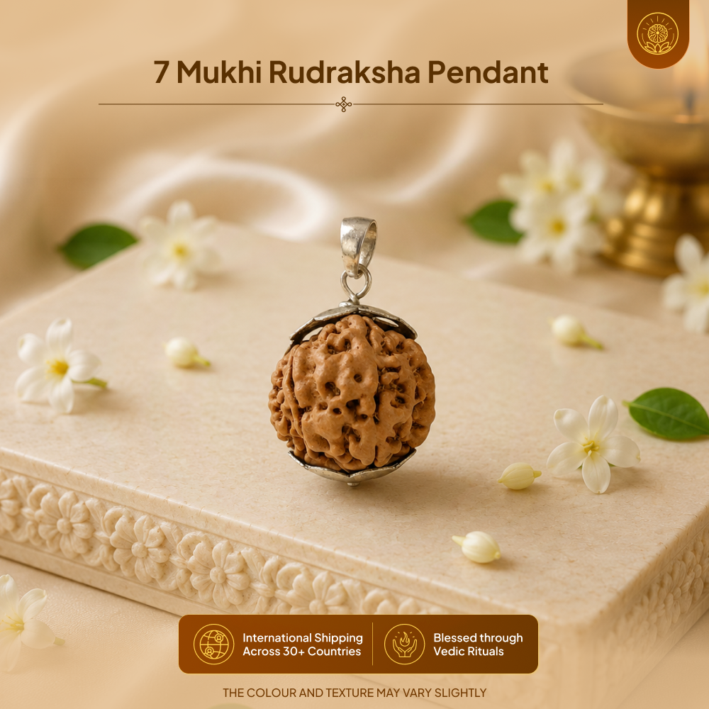 7 Mukhi Rudraksha Pendant- Nepali