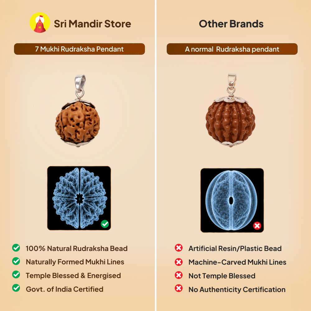 7 Mukhi Rudraksha Pendant- Nepali