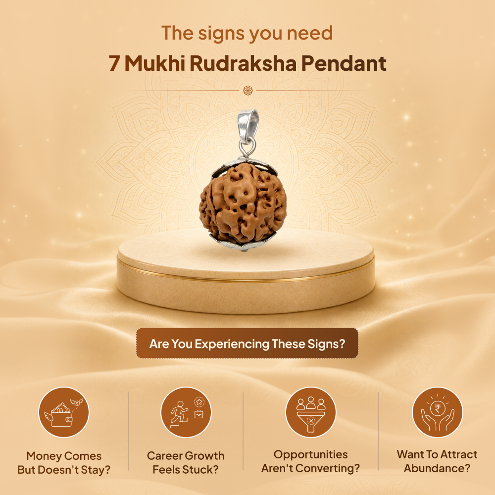 7 Mukhi Rudraksha Pendant- Nepali