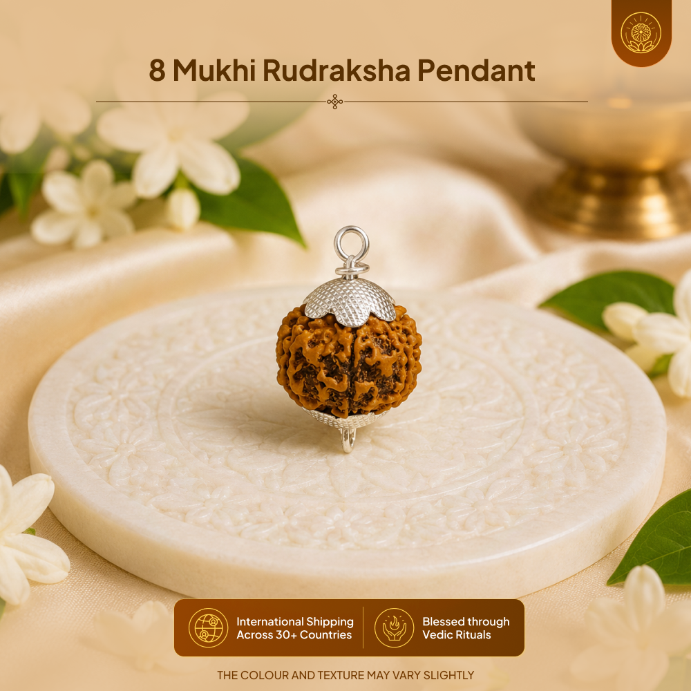 8 Mukhi Rudraksha Pendant- Nepali