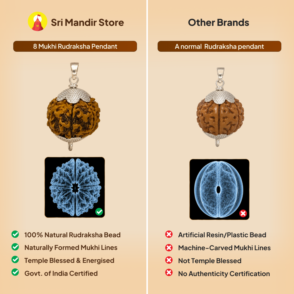 8 Mukhi Rudraksha Pendant- Nepali