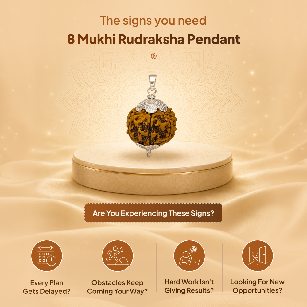 8 Mukhi Rudraksha Pendant- Nepali