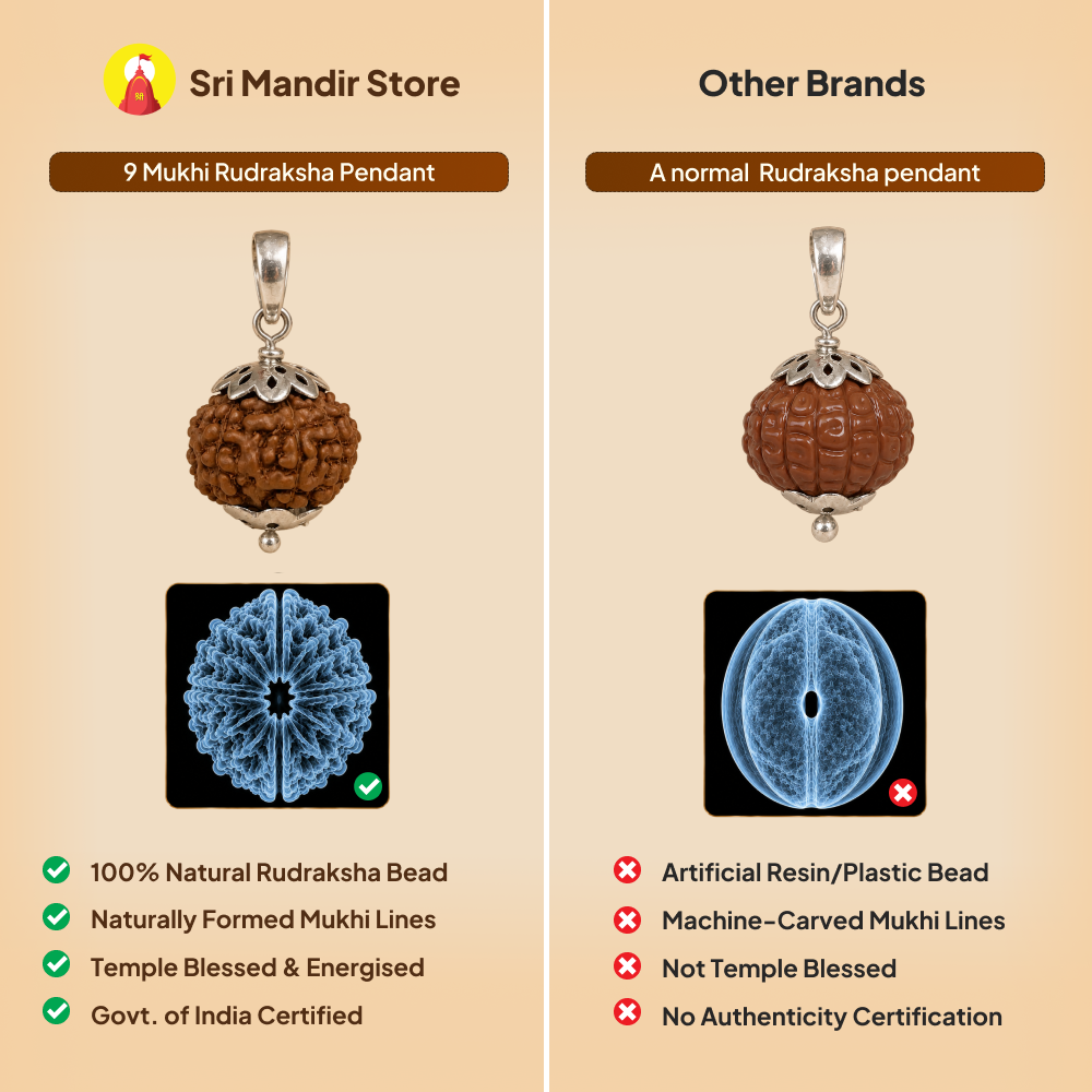 9 Mukhi Rudraksha Pendant- Nepali